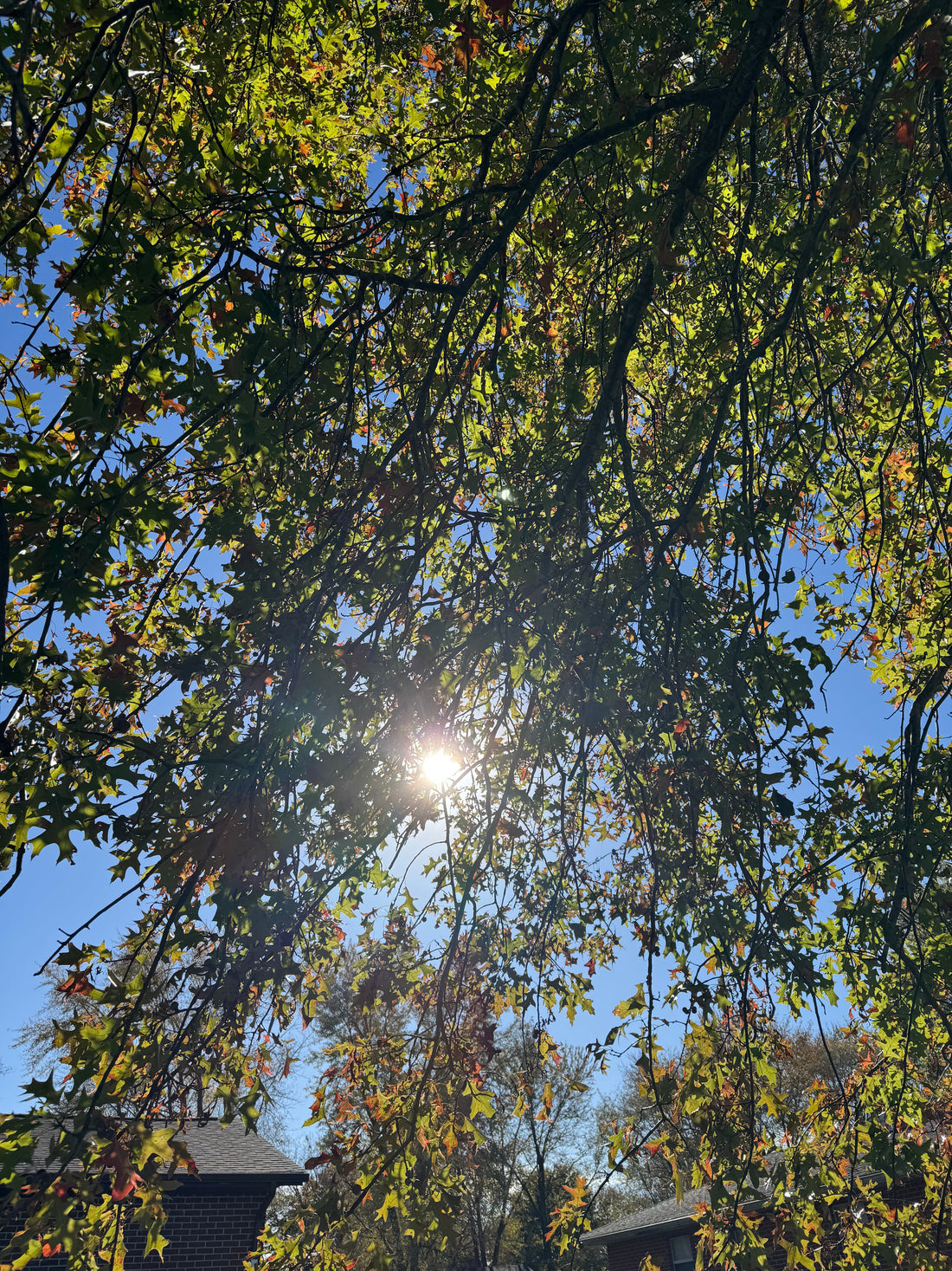 11/13/25 - Don't Forget Your Sunscreen!